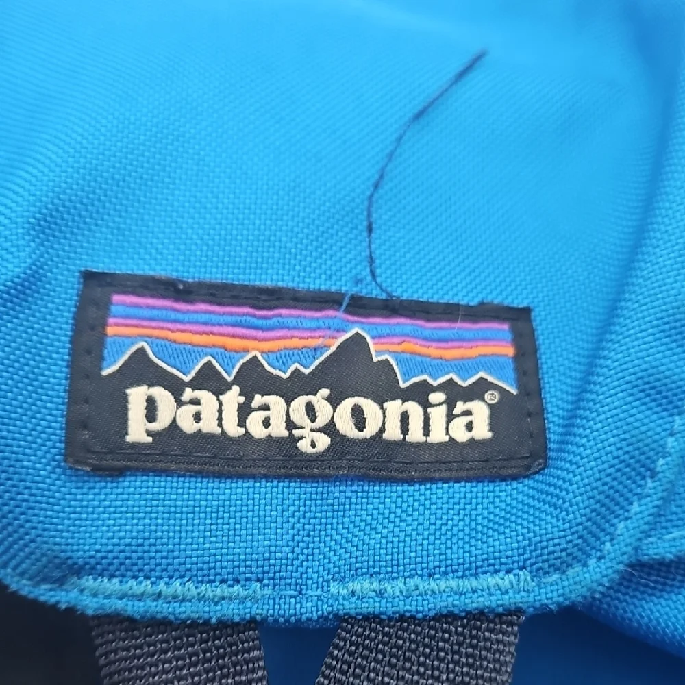 Patagonia Men's Backpack in Blue and Black